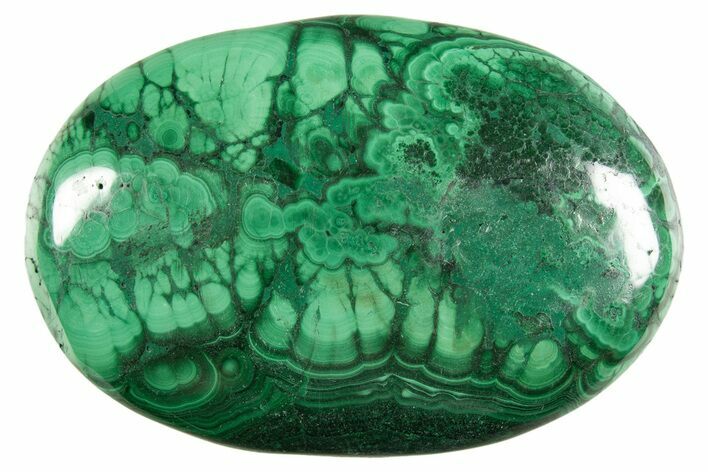 Polished Banded Malachite Palm Stone - DR Congo #321192